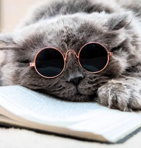 self-publishing on amazon