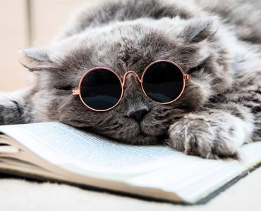 self-publishing on amazon
